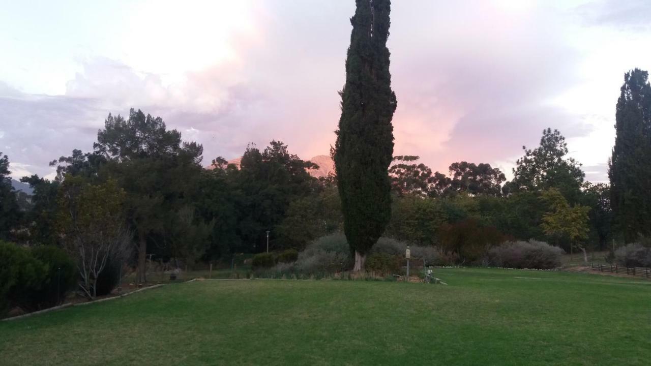 Slaley Country House Στέλενμπος Εξωτερικό φωτογραφία